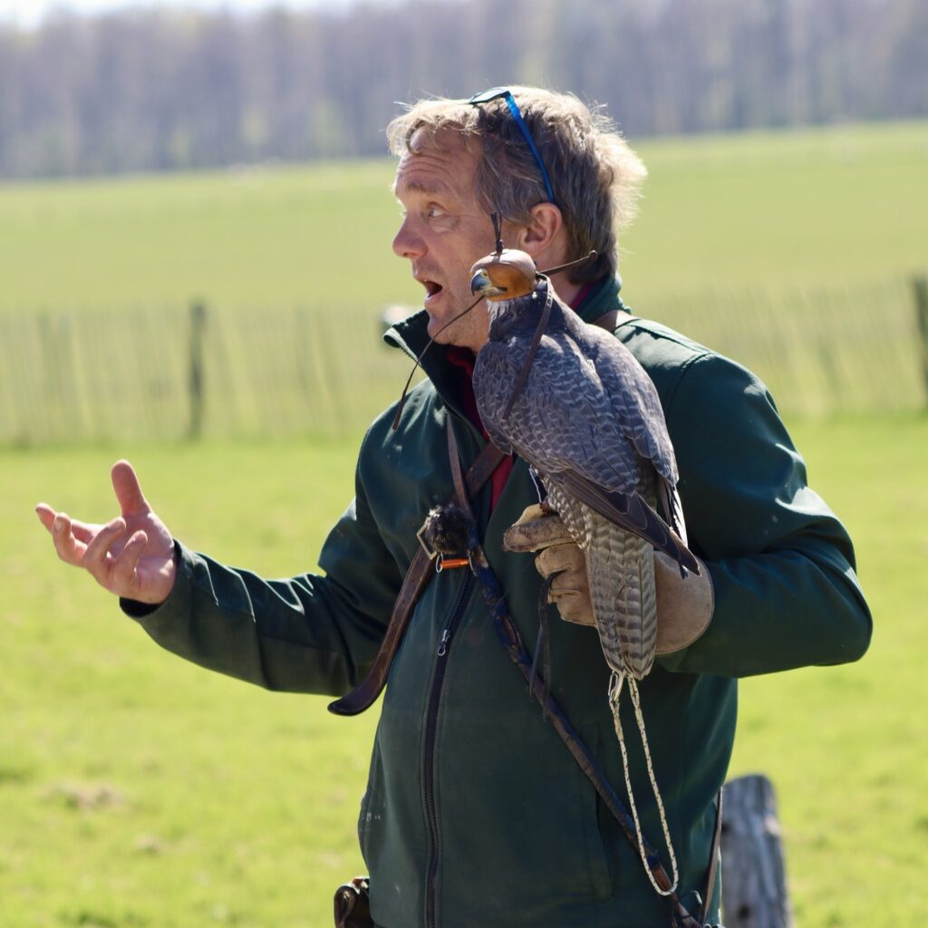 A photo of a hawk with its keeper at the National Centre for Birds of Prey in Helmsley, North Yorkshire