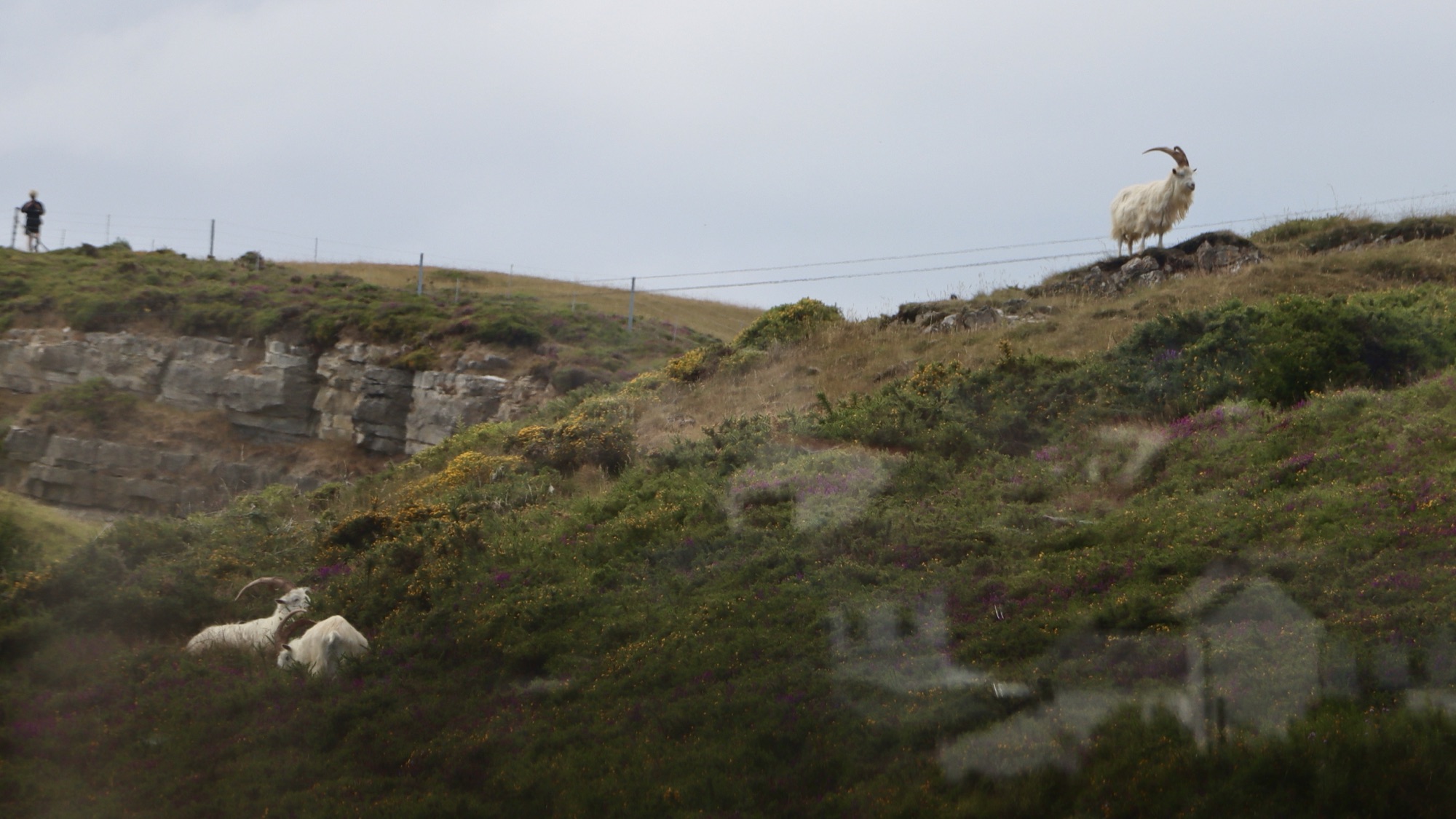 A photo taken atop the Great Orme in Wales