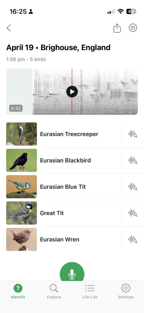 A screenshot of the Merlin Bird ID app on an iPhone.