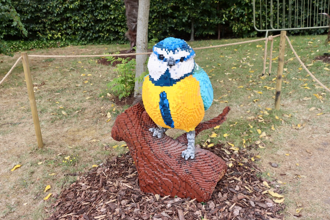 A photo of a blue tit made out of interlocking plastic bricks (Lego, basically) at the RHS Garden Harlow Carr